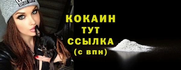 гашик Переславль-Залесский