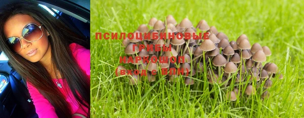 амф Белоозёрский