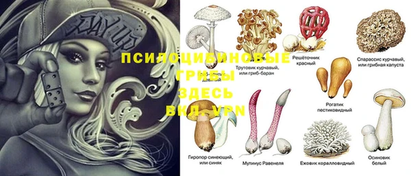 мдпв Белокуриха