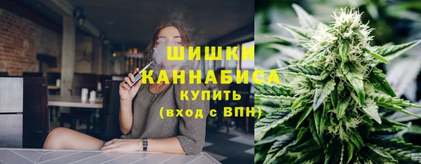 первитин Пестово